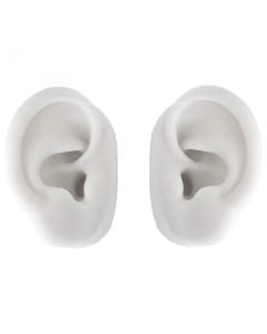 Ear model (pair) silicone