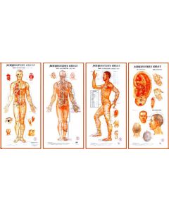 Acupuncture Wall Chart Set